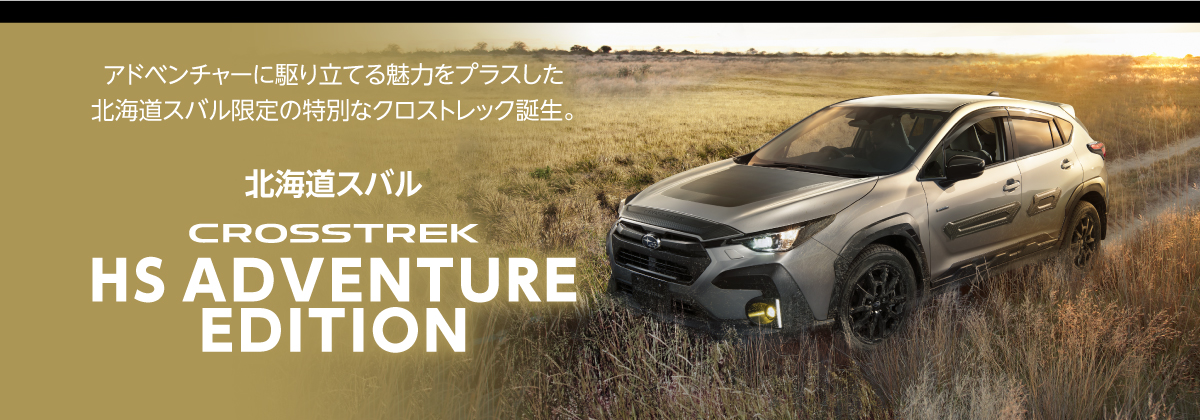 クロストレック HS ADVENTURE EDITION