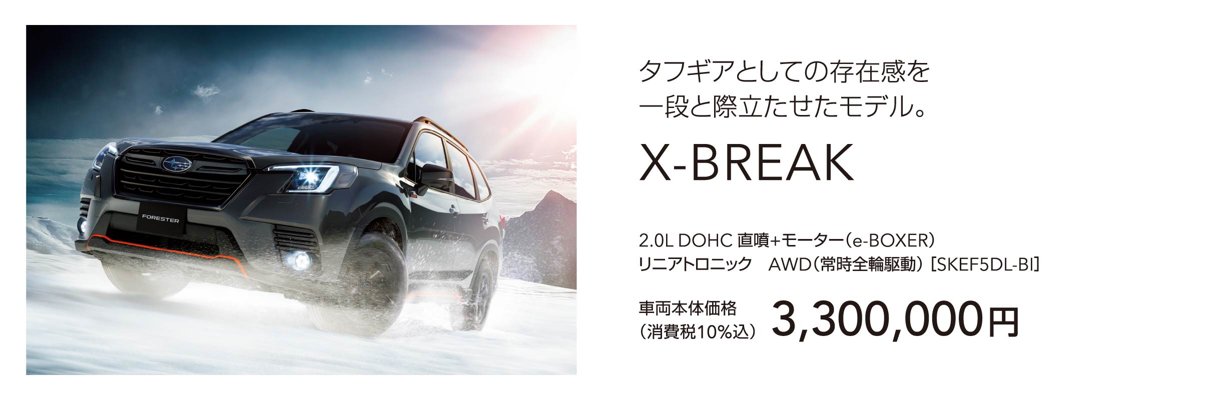 タフギアとしての存在感を一段と際立たせたモデル。X-BREAK 車両本体価格（消費税10%込）3,300,000円