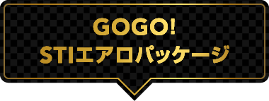 GOGO! STIエアロパッケージ