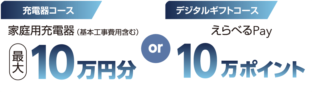 充電器コース 家庭用充電器(基本工事費用含む) デジタルギフトコース えらべるPay