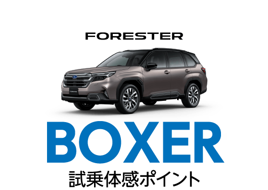 BOXER 試乗体感ポイント