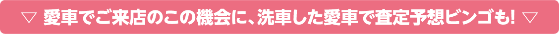 愛車でご来店のこの機会に、洗車した愛車で査定予想ビンゴも！