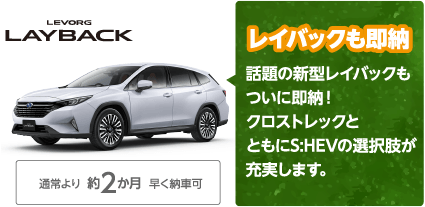 LEVORG LAYBACK