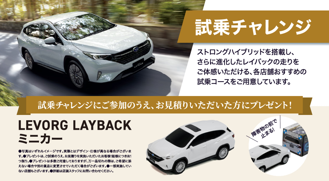 試乗チャレンジ ストロングハイブリッドを搭載し、さらに進化したレイバックの走りをご体感いただける、各店舗おすすめの試乗コースをご用意しています。