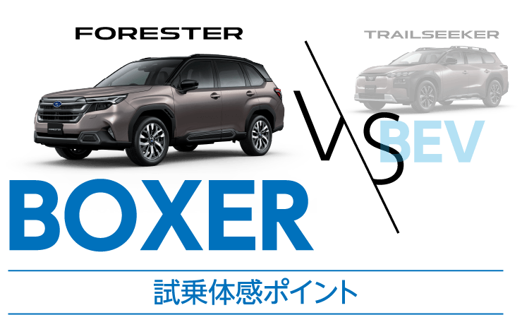 試乗体感ポイント