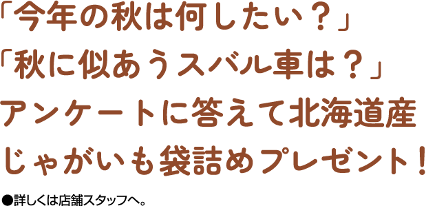 アンケートに答えて北海道産じゃがいも袋詰めプレゼント!