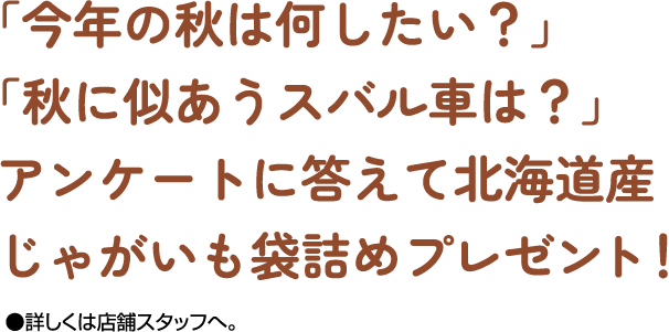 秋の大決算｜北海道スバル株式会社 | 北海道スバル株式会社