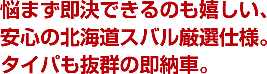 悩まず即決できるのも嬉しい、安心の北海道スバル厳選仕様。タイパも抜群の即納車。