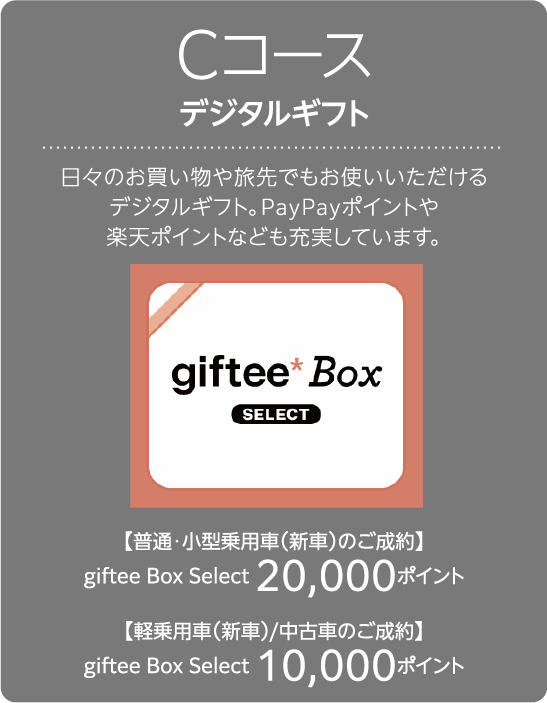 Cコース デジタルギフト