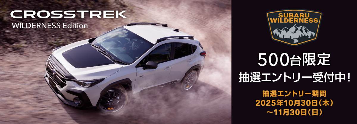 クロストレックウィルダネス