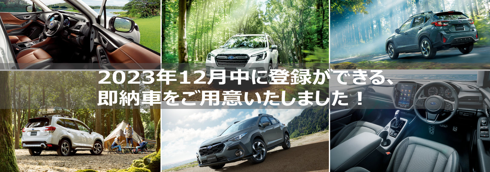2024年１月より、一部の車種で税額が上がります
