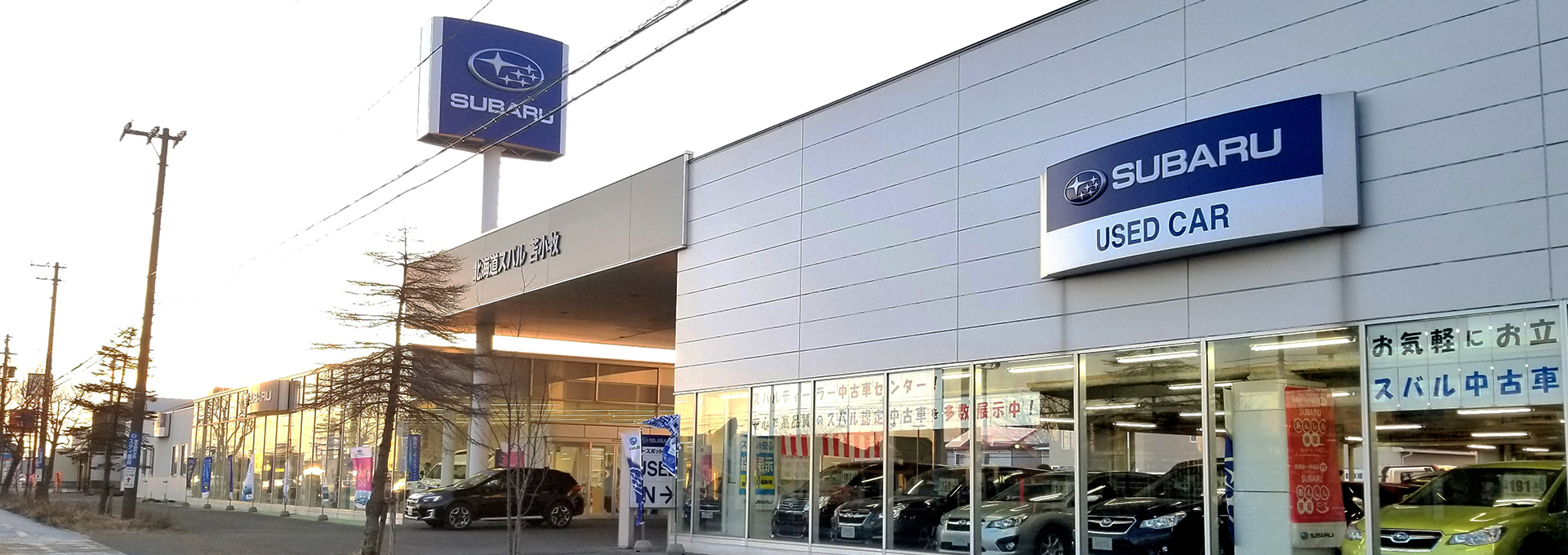 苫小牧店