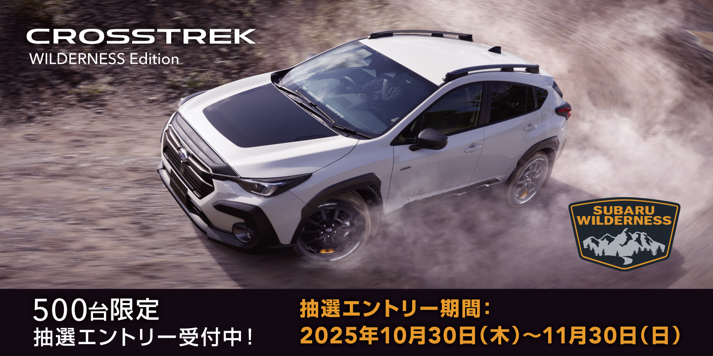 クロストレックウィルダネス